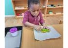 Montessori Toddler Program: Fostering Independence and Growth