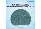 Rat Bone Marrow Derived Mononuclear Cells || Kosheeka