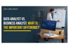 Data Analyst Vs. Business Analyst: What Is The Important Difference?