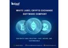 Leading White label crypto exchange Company - Beleaf Technologies