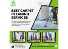 Best Carpet Washing Expert in Pittsburgh PA