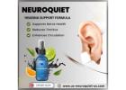 Illinois NeuroQuiet Review 2025: Top Brain and Hearing Support Explained