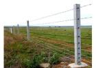 RCC Fencing Poles: Highly Strong Support For All