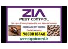 Cockroach Pest control | eliminate cockroaches | Residence | Flats | 4094