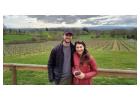 Willamette Valley Wine Tours