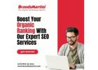 Boost Your Organic Ranking With Our Expert SEO Services