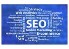 Professional SEO Services for Driving Traffic, Leads, & Sales