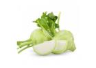 Buy Fresh and Organic Vegetables Online