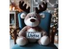 Design Your Dream Plush: Unforgettable Gifts & Merchandise