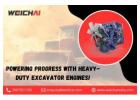 Powering Progress with heavy-duty Excavator Engines!