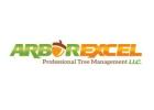 Arbor Excel, LLC