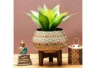 Transform Your Space with Unique Pots and Planters from Dusaan