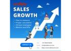 Boost Your Revenue with a High-Performing Sales Force