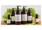 Shop Organic Shampoo and Conditioner for Healthier Hair at The Body Deli