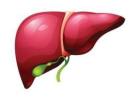 Expert Fatty Liver Disease & Cirrhosis Specialist in Gujarat