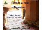 Termite Treatment in Bangalore – Protect Your Property with Kushi Services