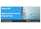 Egg Freezing Process Step by Step