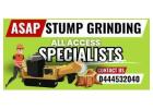 Expert Stump Removal Services on the Gold Coast – Fast & Affordable