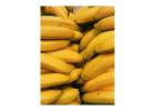 Bananas - Health Benefits, Smoothies, Banana Splits and Their Origins