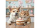 Every Pet Deserves a Cake – Explore Our Pet Cake Shop in Delhi