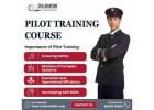 Popular Institutes For Pilot Training in Delhi