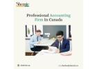 Professional Accounting Firm In Canada - Shemie CPA