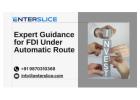 Looking to Invest? Get FDI Automatic Route Guidance Today