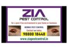 Zia Pest Control  contact for special discount | Bed Bug Blr Treatment | 5036