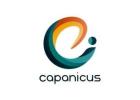 Custom Voip software development Company - Capanicus