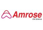 Starch Granules DC - Exceptional Prices at Amrose Lifescience llp Order Now