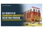 Key Benefits of Chandigarh University's Online MBA Program