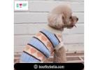 Buy Dog Sweaters, Winter Dog Clothes, and Dog Jackets Online