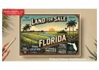 Find Your Premium Land for Sale in Florida 