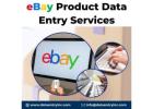 Best eBay Product Data Entry Services in India