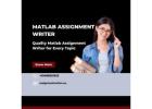 Quality Matlab Assignment Writer for Every Topic