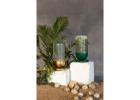 Elegant Scuba Planter by Nama Home