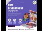 CRM Development Company