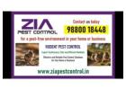 Rodent Pest Control | Specialised in Rodent control Upto 25% Off on  PG | 5041