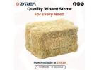 Wheat Straw Premium Agricultural Biomass | Zarea