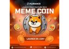 Transform Creativity into Crypto: Plurance’s Meme Coin development