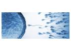 Affordable IVF Cost & Top IVF Center Best IVF Specialist in Bangalore 