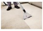 Best Service For Carpet Cleaning in Yeading