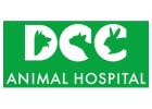 Best Pet Vet in Greater Kailash – DCC Animal Hospital & Petcare