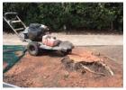 Stump Grinding Avalon