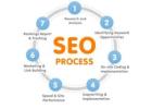 Professional SEO to enhance site authority