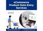 Best Ecommerce Product Data Entry Services in India