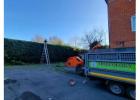 Tree surgeon in Takeley, Hatfield Heath, Elsenham, Saffron Walden, Bishops Stortford