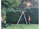 Tree surgeon in Braintree, Haverhill, Wethersfield, Finchingfield, Steeple Bumpstead