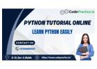 Python Tutorial online