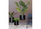 Elevate Your Plants with Trendy Plant Stands – Shop Dusaan